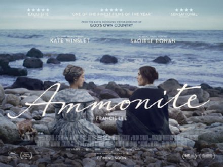 Ammonite